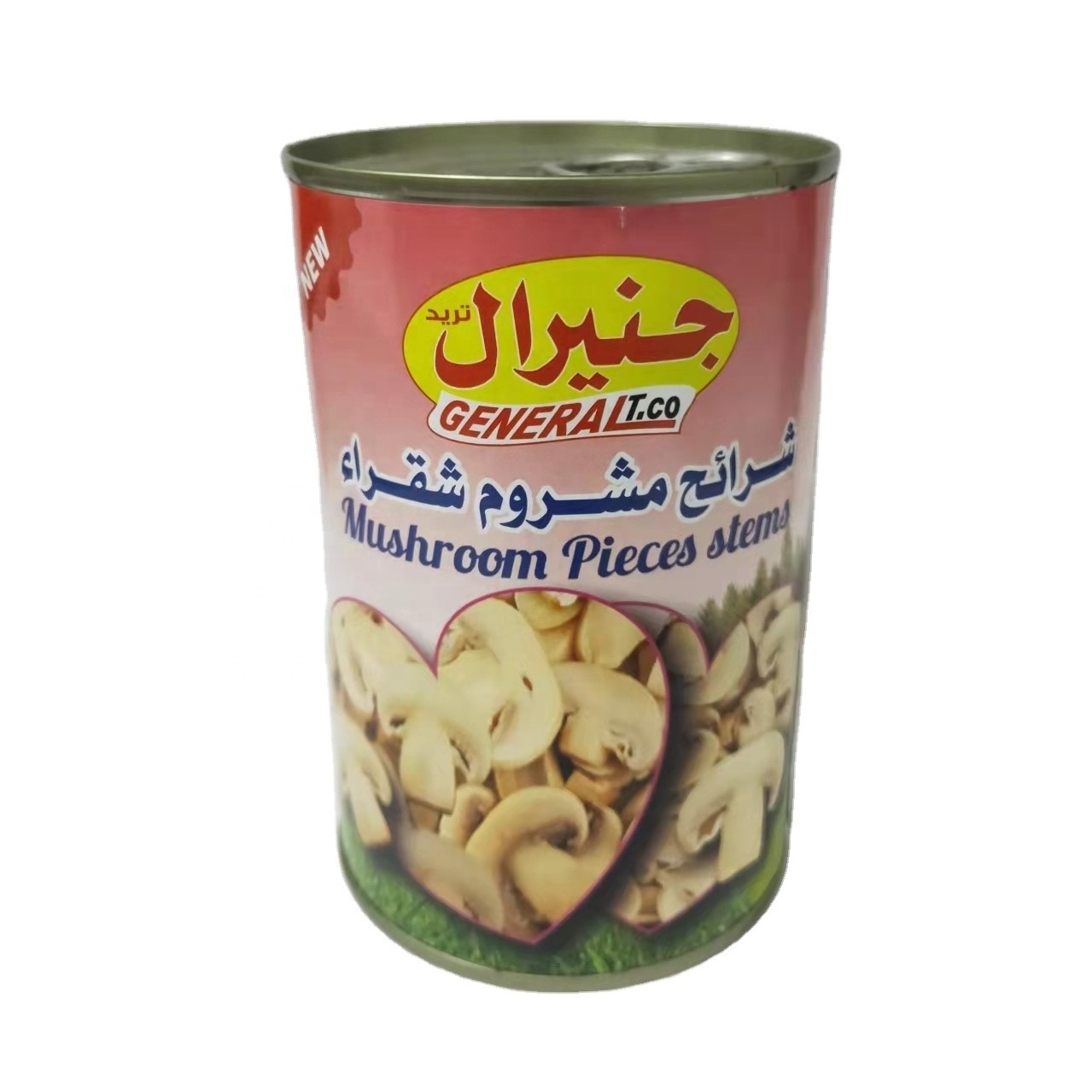 Canned Mushroom Whole /PNS /King Oyster Mushroom Canned vegetable Canned Food