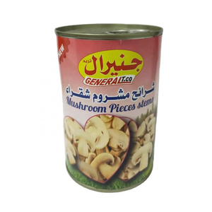 Canned Mushroom Whole /PNS /King Oyster Mushroom Canned vegetable Canned Food