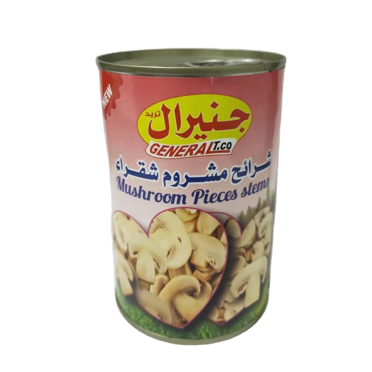 High quality wholesale canned champinon mushroom king oyster mushroom 400G