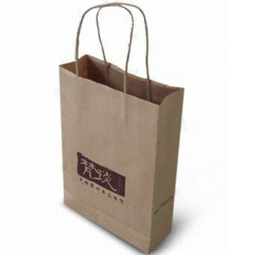 Custom Printed Luxury Gift Shopping Big Strong Paper Bags FS027