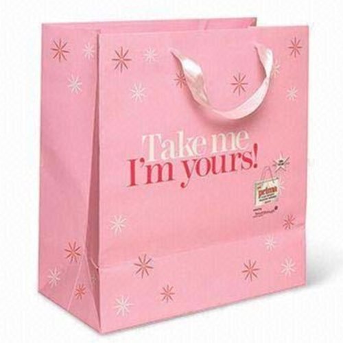New customized red color Shopping gift paper bags with handle from China FS028