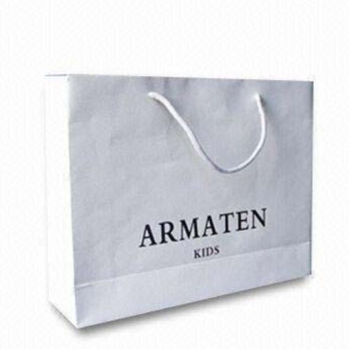 Printed custom made shopping paper bags with your own logo FS029