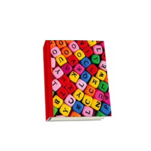 Manufacturer customized office custom school notebooks    BX-21