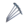 Chinese Cheap Price Roofing Nails with twist shank From China