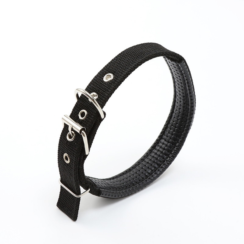 Collar Type Cat Dog Collar Neck Strap Pet Leash Traction Rope xq-004
