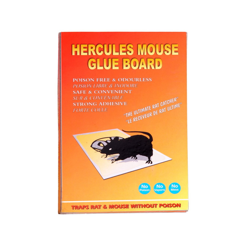 Good Quality Mouse Glue Trap  SQ-116