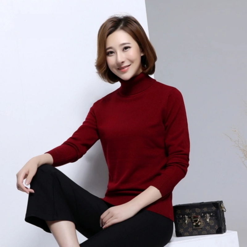 Turtleneck Ladies Fancy Stylish Sweater