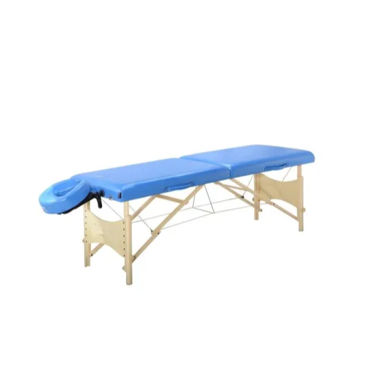 Beauty SPA Electric Facial Bed