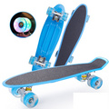 Frosted Skateboard Single Tilt 4 Four-Wheel Flashing Wheel Plastic Fish Board Skateboard
