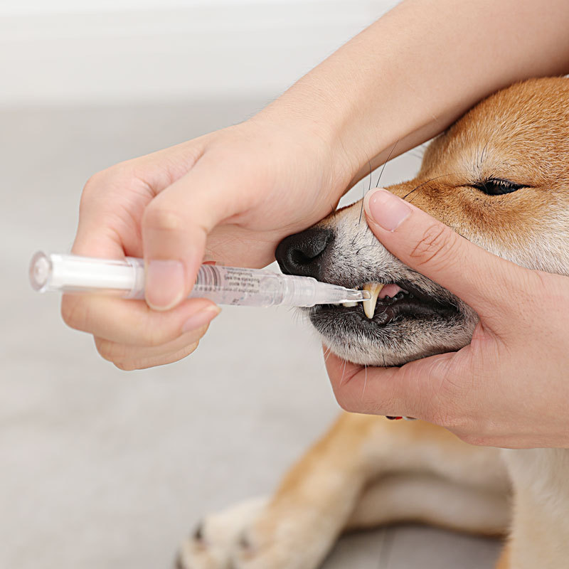 Pet Dental Brush, Dog′s Bad Breath, Calculus and Tartar Cleaning Tool, Pet Toothbrushing Tool