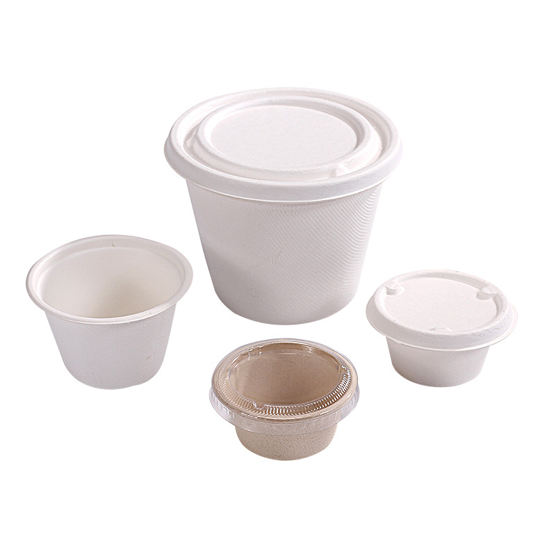 disposable bowls with lids