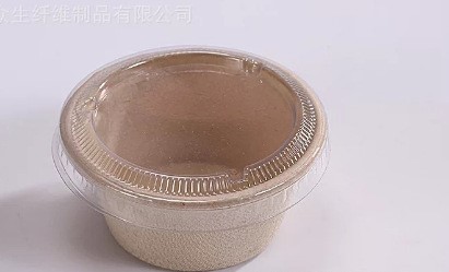paper bowl with lid