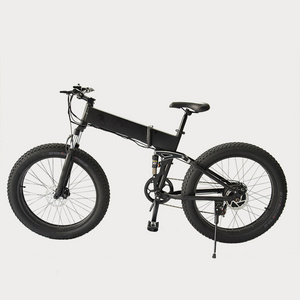 750W 1000W Motor E Bike Fat Tire Mountain Fatbike Electric Sports Bicycle