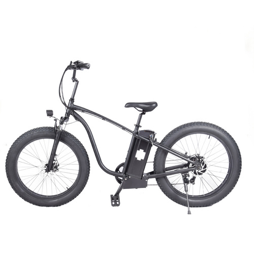 20 Inches 26 Inches Electric Bicycle for Adults