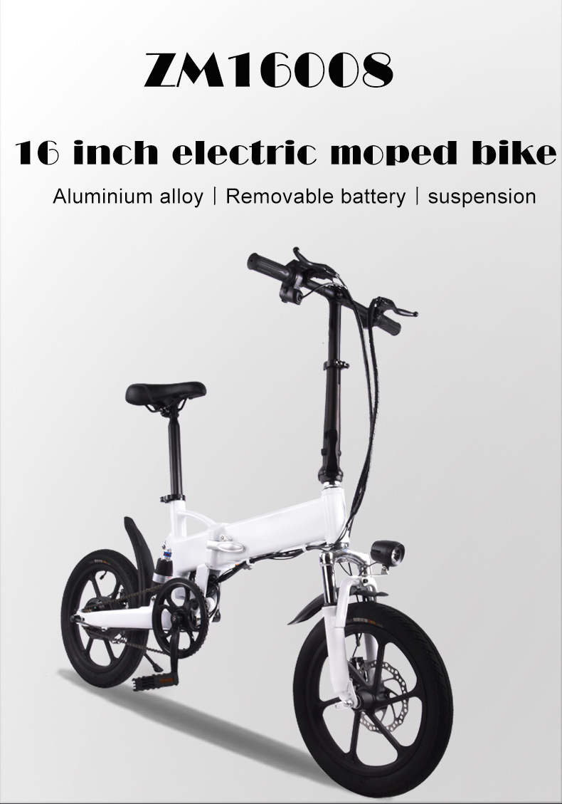 Electric Folding Bike (2).jpg