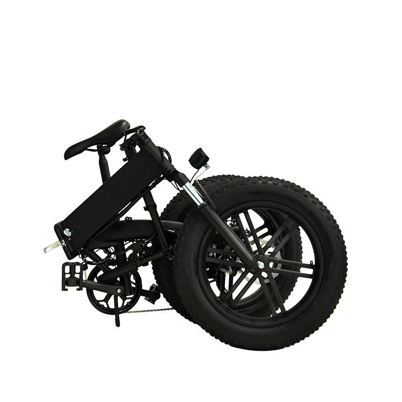 Lithium Battery Assist Snow Electric Bicycle