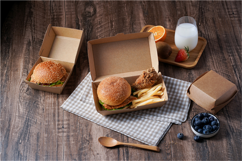 The Best Customized Colors and Shapes Burger Takeaway Box for Takeaway or Picnic and Party