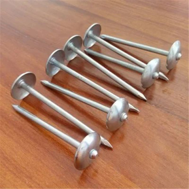 Umbrella Head Stainless Steel Corrugated Nails | High-Quality Roofing Nails