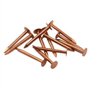 Brass Copper Nails