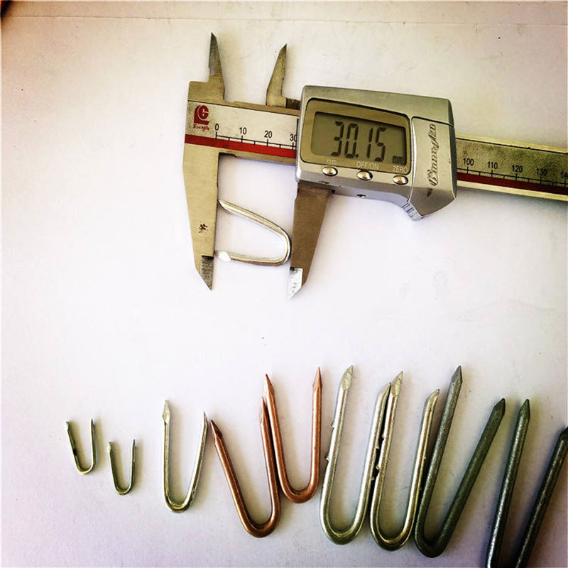 Galvanized Single Barbed Fence Staples U Shape Wire Nails