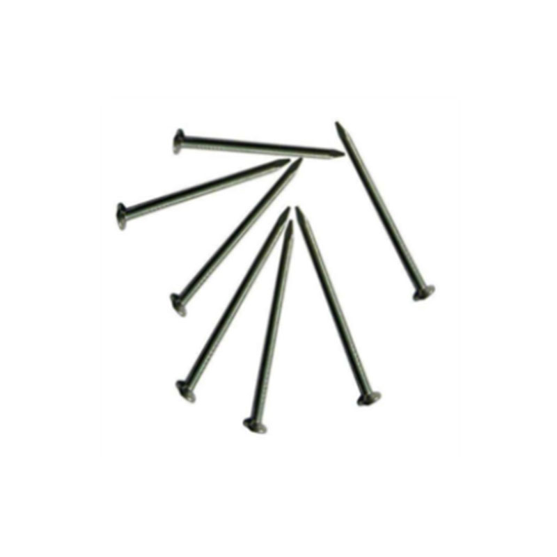 Round Head Carbon Steel Iron Wire Nail Roofing Common Nails for Furniture
