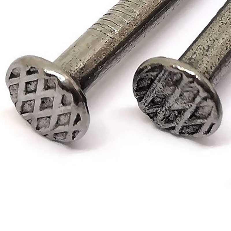 Round Head Carbon Steel Iron Wire Nail Roofing Common Nails for Furniture