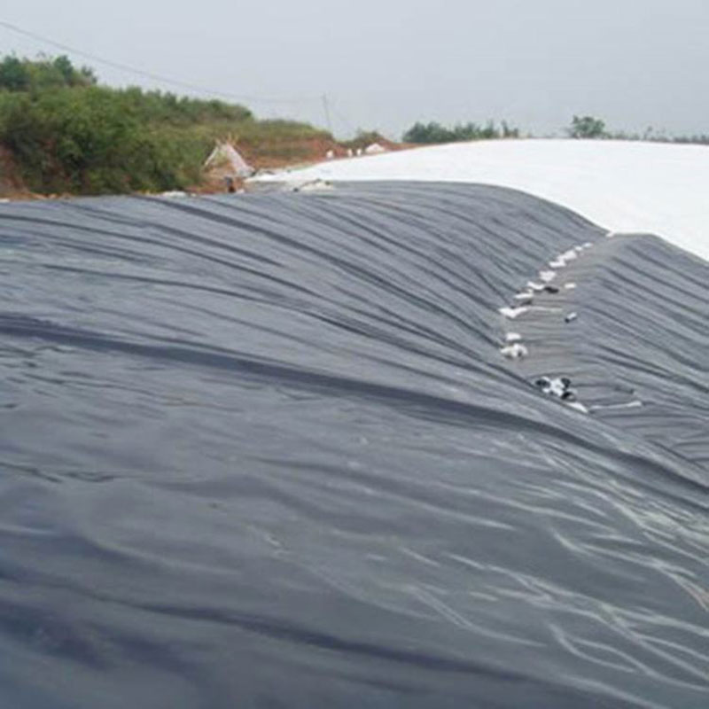 PVC Plastic Waterproof Membrane Self Adhesive for Roof