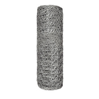 25mm Galvanized Hexagonal Wire Netting Chicken Wire Mesh