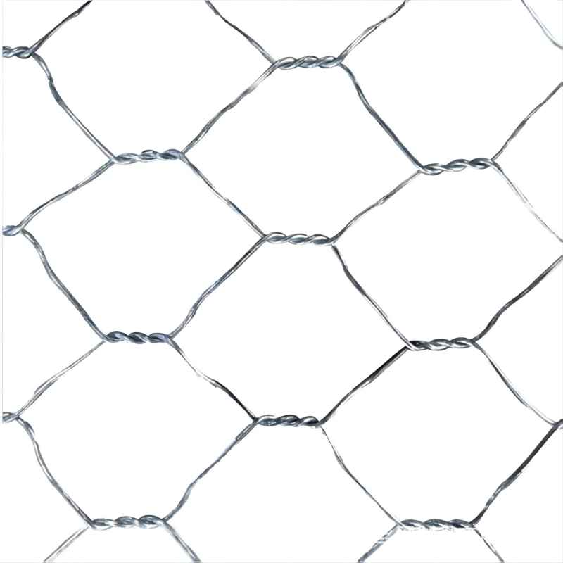 25mm Mesh Hole Size Hot Dip Galvanized Hexagonal Wire Mesh Panels Chicken Wire Hex Netting