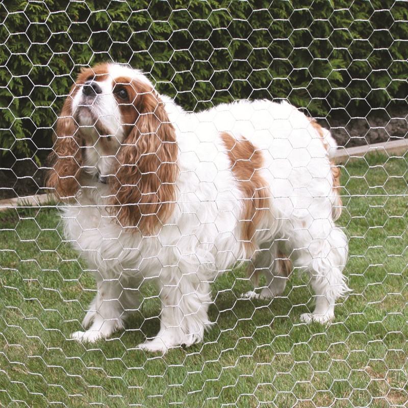 Hot Dip Electro Galvanized Animal Cage Fence Poultry Chicken Hexagonal Wire Mesh Gabion Mesh