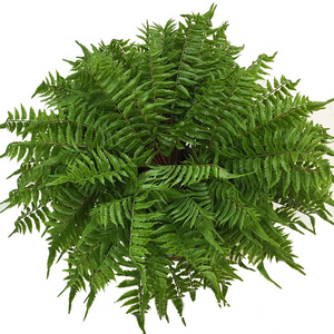 Faux Greenery Shrubs Plants Artificial Boston Fern Plants Bushes Plastic Plant