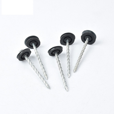 Stainless steel Brass Roofing Nails