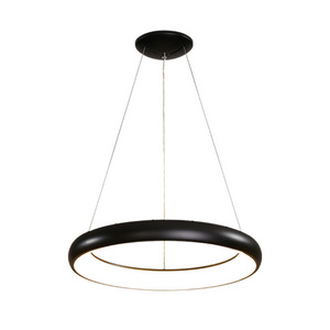 pendant ceiling lights