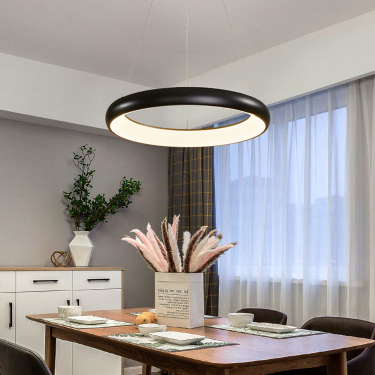 Simple Circle Iron Acrylic Luxury LED Ring  Ceiling Pendant Light