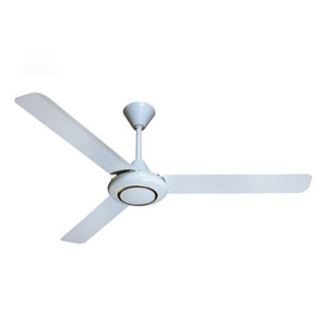 electric ceiling fan