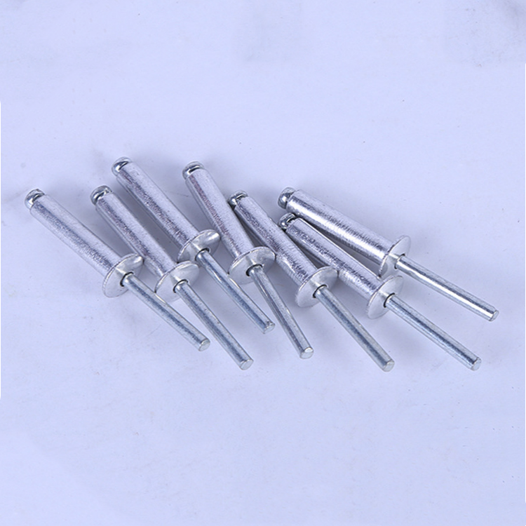 Various Sizes Round Head Rivets Galvanized Stainless Steel Rivets