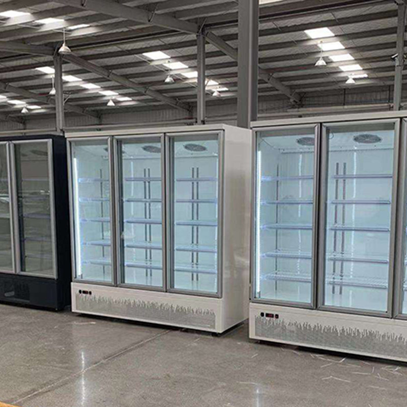 New Upright Display Showcase Freezer for Supermarket