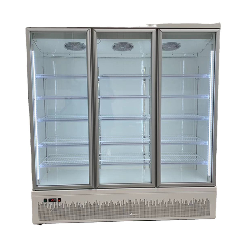 New Upright Display Showcase Freezer for Supermarket