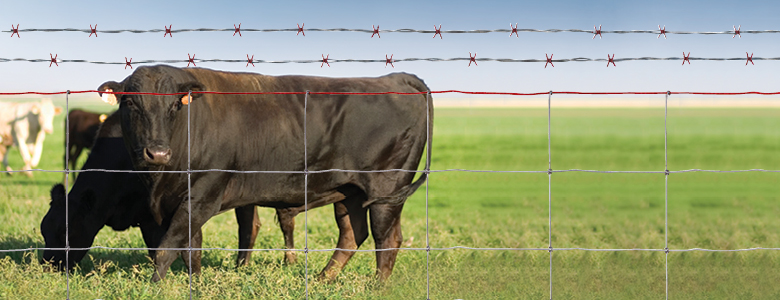 razor barbed wire