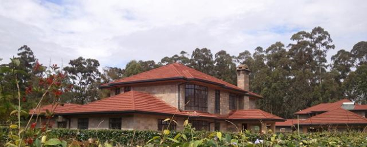 stone coated roofing tiles