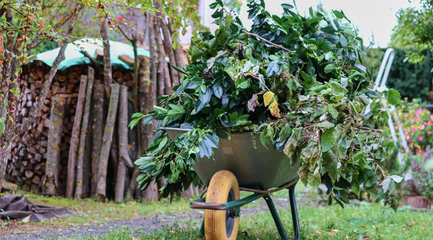 garden wheelbarrow