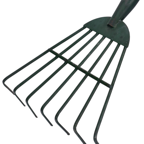 pictures of the rake