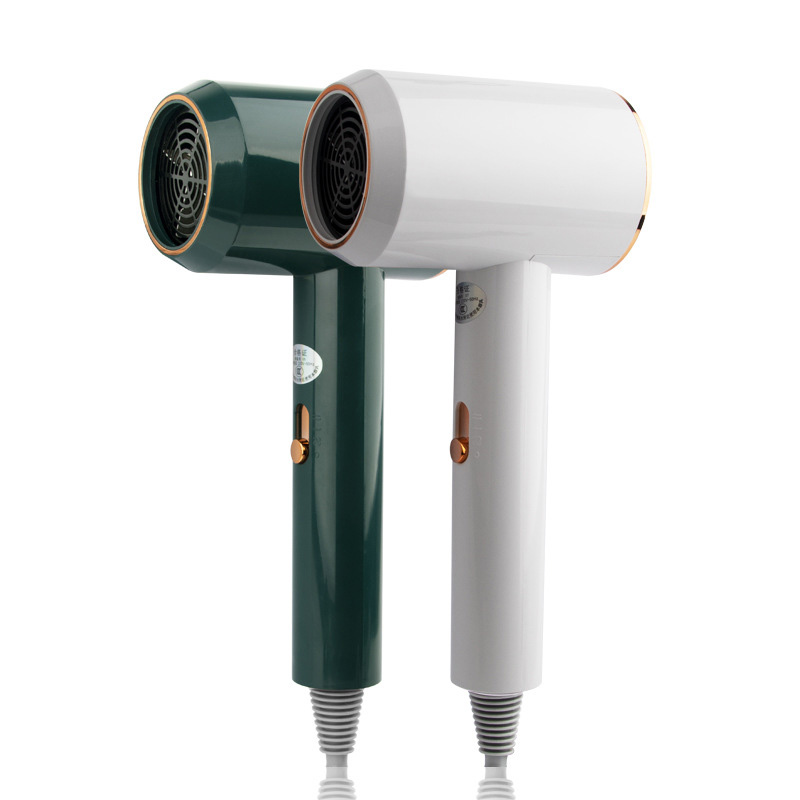 220V Constant Temperature Large Wind Negative Ion Hair Dryer
