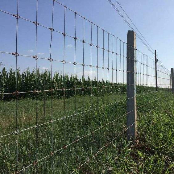 Agriculture Goat Farming Cattle Fence Panel Field Wire Mesh Cattle Fence