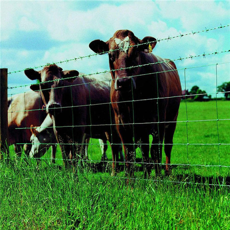 Field Fence Sheep Cattle Panel Fencing Wire Cattle Fence