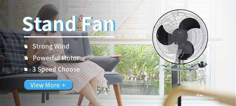 Pedestal Fan