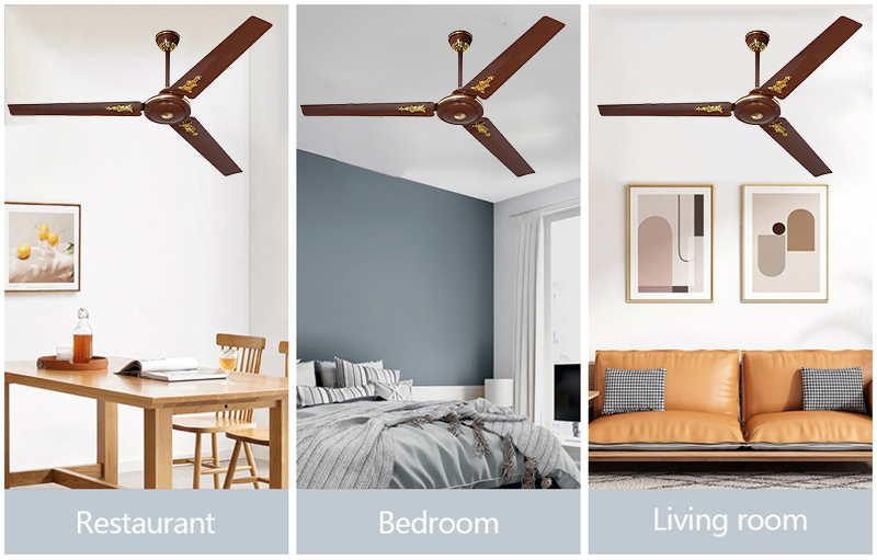 Ceiling Fans