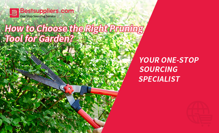 How to Choose the Right Pruning Tool for Garden?