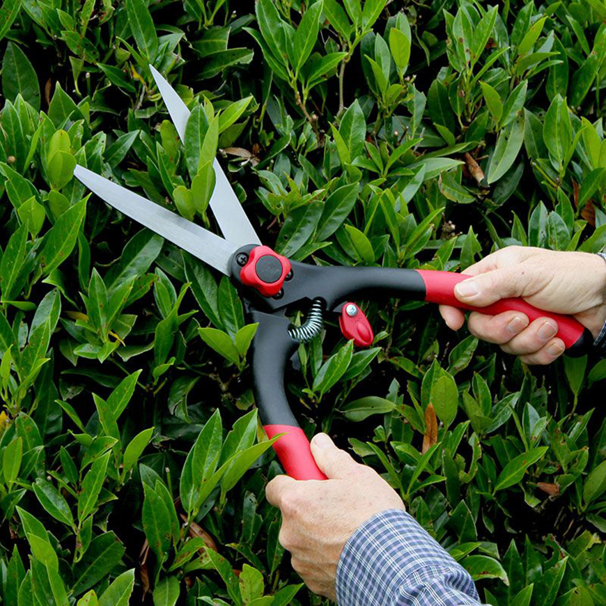 Hedge Shears