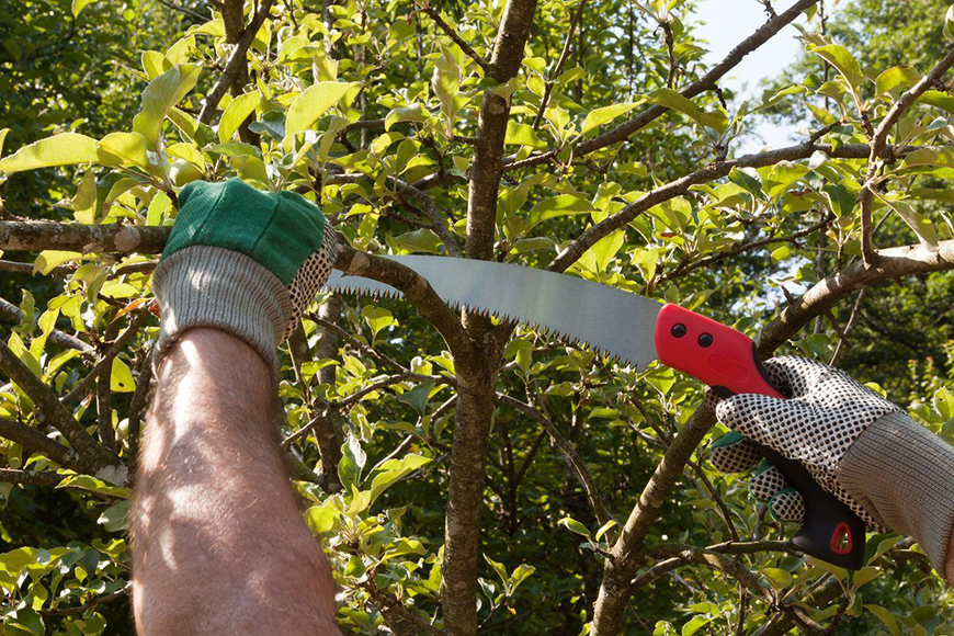 Pruning Saws